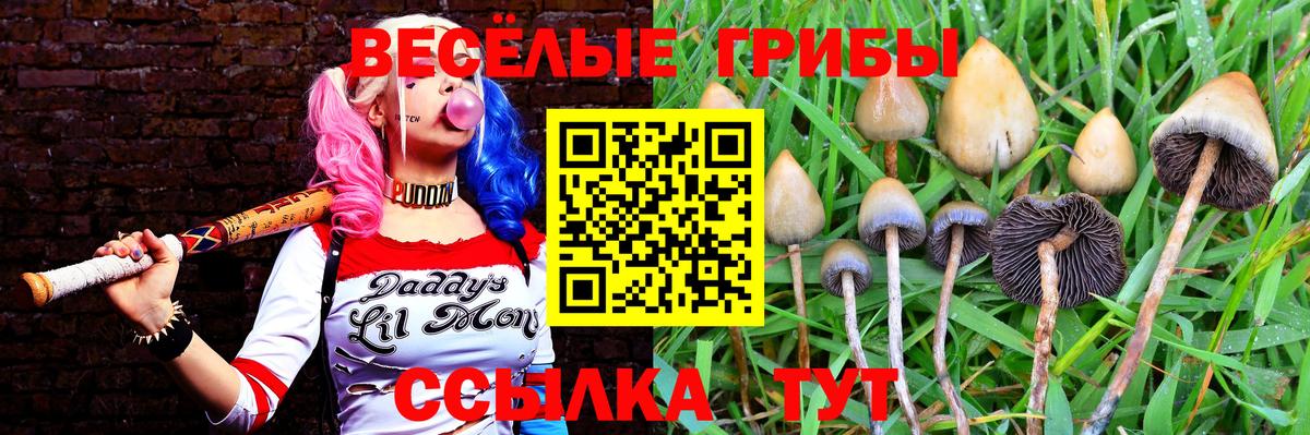 Галлюциногенные грибы MAGIC MUSHROOMS Северодвинск