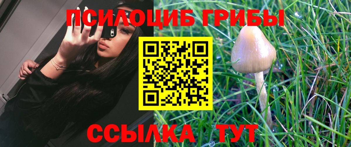 Галлюциногенные грибы мухоморы  Псилоцибиновые грибы Psilocybe  Северодвинск  Вход с VPN 